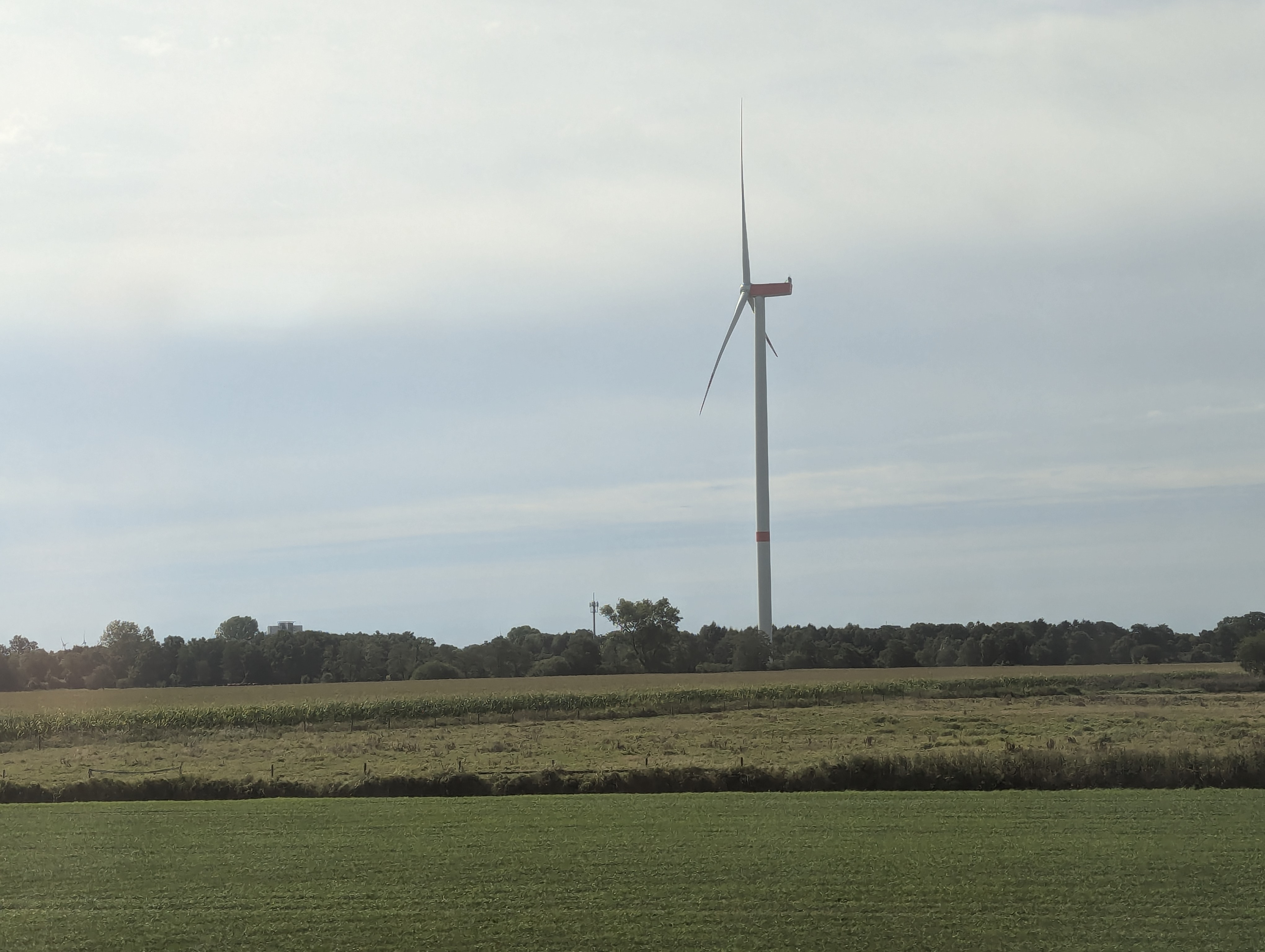 Train to Muenster, Germany